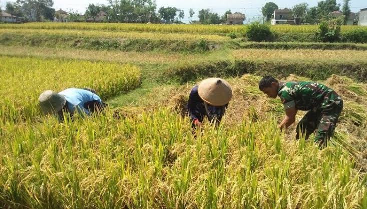 garansi purna jual mesin pertanian terbaik