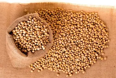 cara kerja mesin giling kedelai